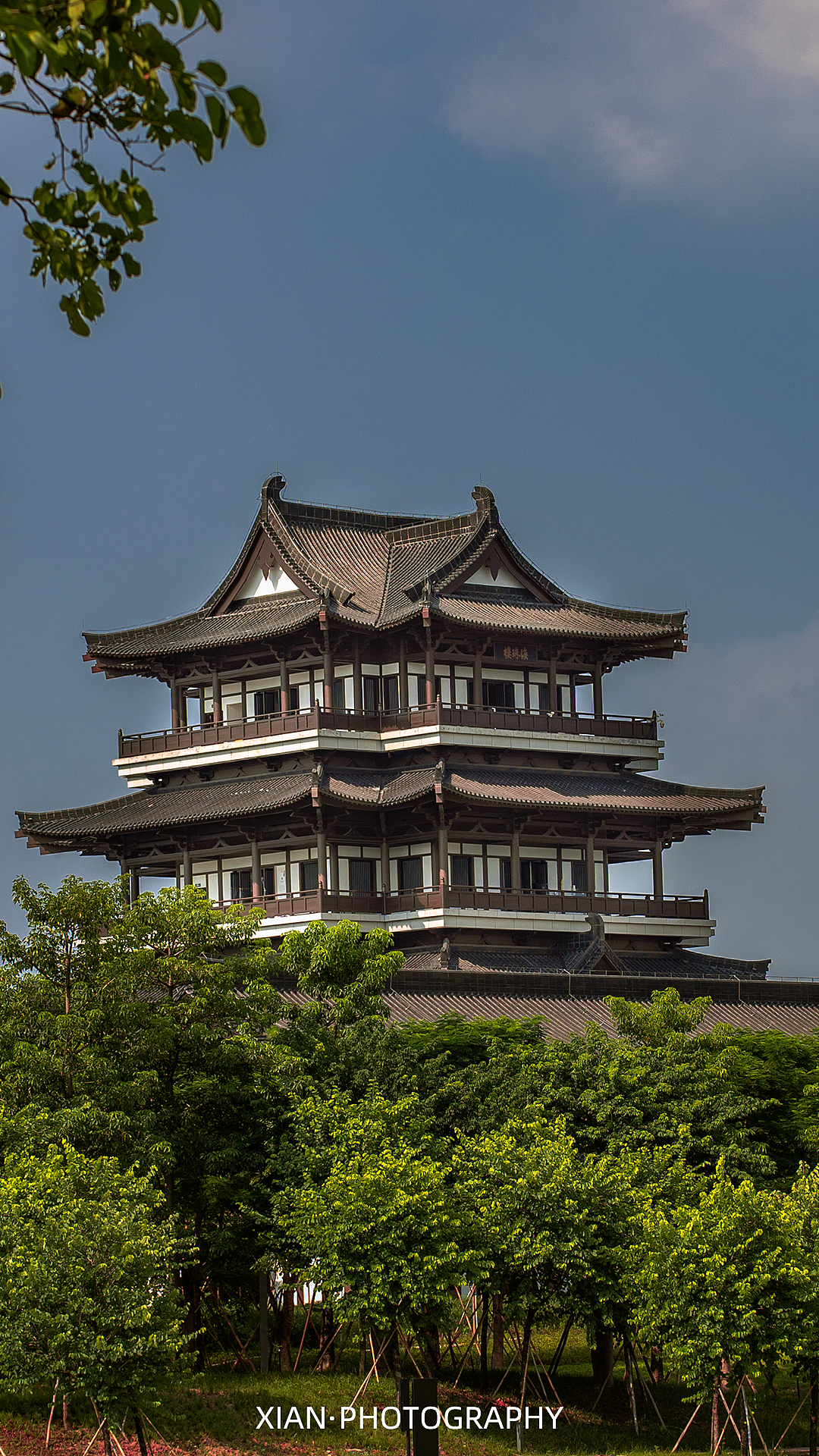 一天的拍摄,公园-晚霞