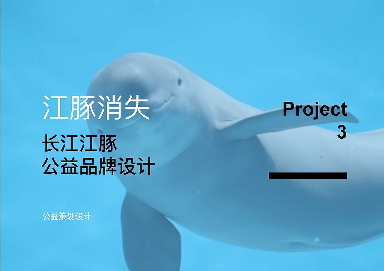 消失的江豚（图ZNzMyMDkyNjA=） - 品牌 - 站酷设计师FionaZC原创素材 - 站酷ZCOOL