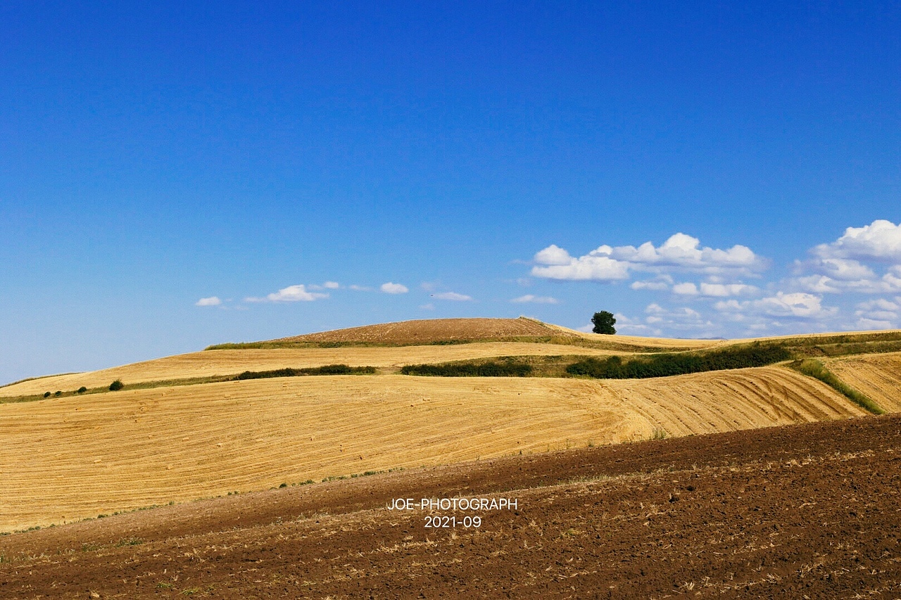 风光和带货直播