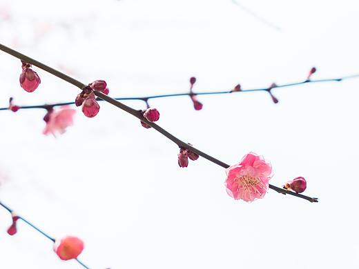 市民广场随拍（个人主页-ZMjYxMjMwNDQ=） - 风光摄影 - 站酷设计师包子108原创素材 - 站酷ZCOOL