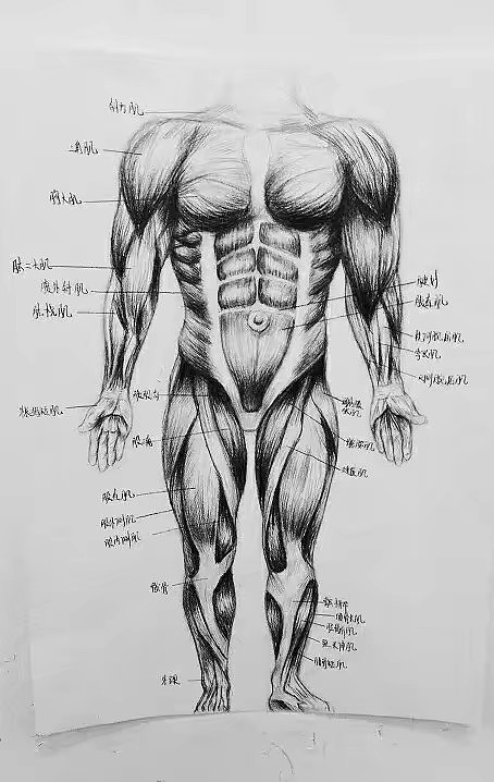 手绘+动手（图ZMTIxMjI5MDY0） - 绘画 - 站酷设计师阿文达原创素材 - 站酷ZCOOL