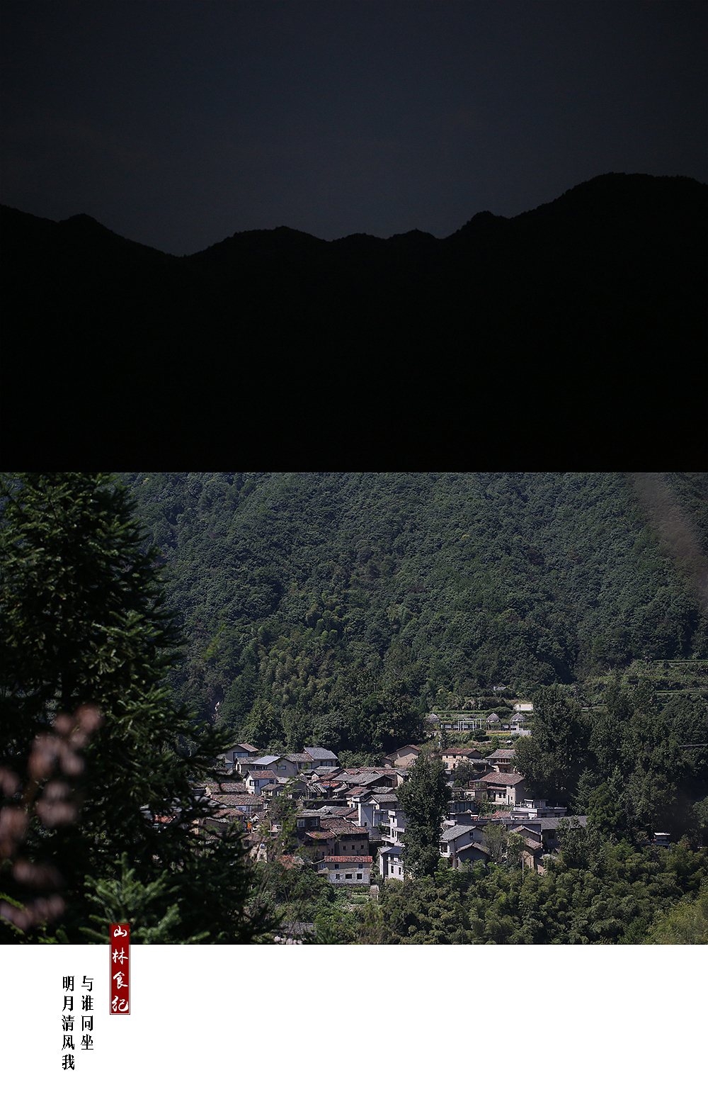 与谁同坐 明月清风我