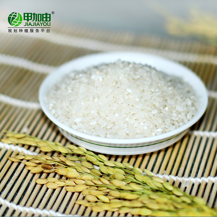 大米包装（图ZMTEyOTU3NDky） - 包装 - 站酷设计师薄荷味的笑原创素材 - 站酷ZCOOL