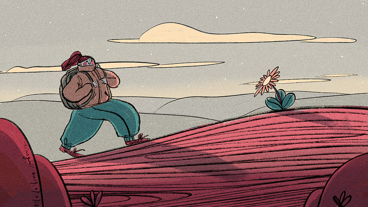 一次午夜散步
----------