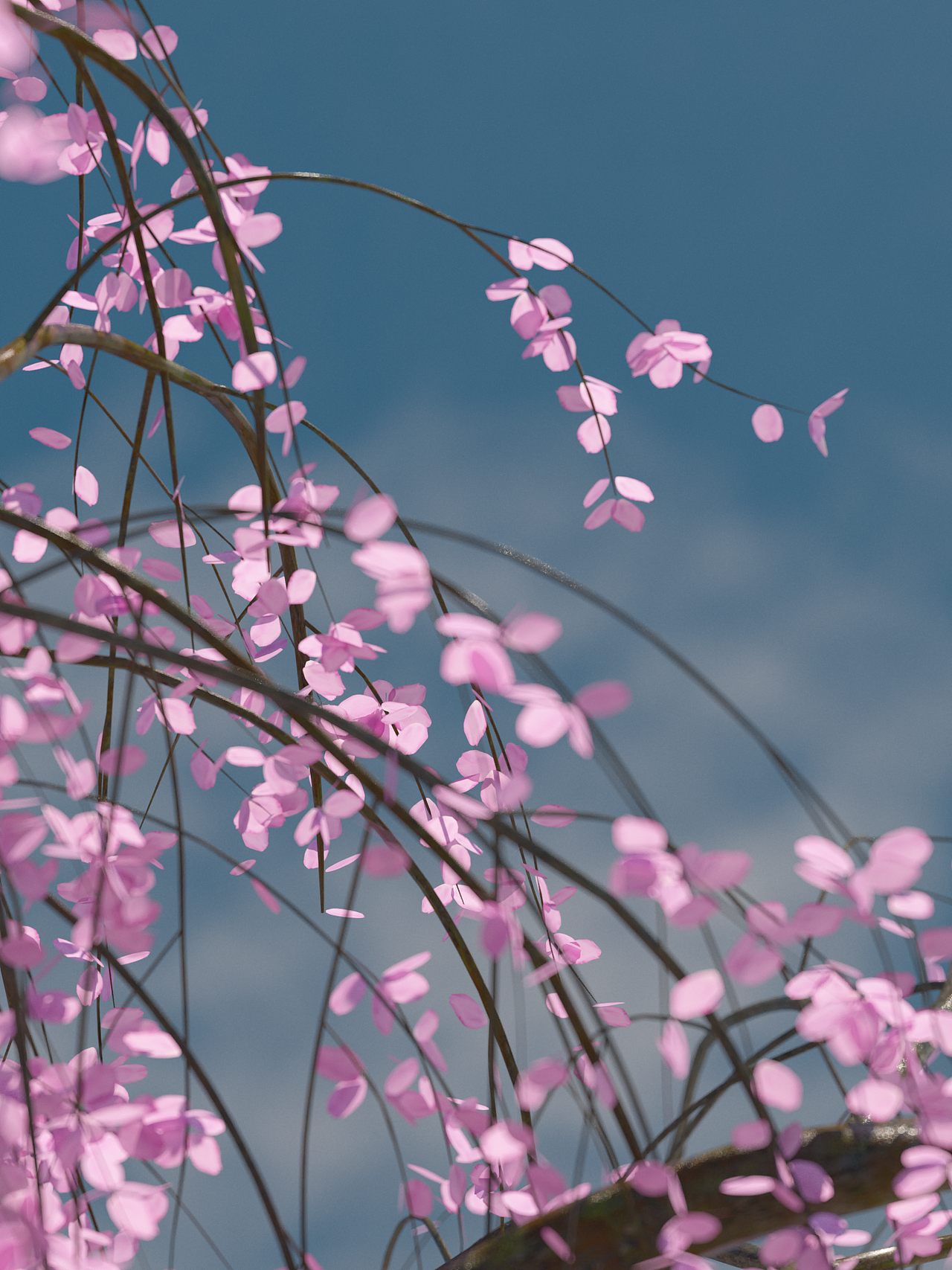 近期OC渲染练习（图ZMzMzMTAwNjg4） - 其他三维 - 站酷设计师白彦小小仙原创素材 - 站酷ZCOOL