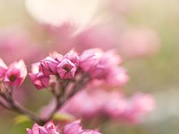 刚学拍照，就去东湖公园溜一圈