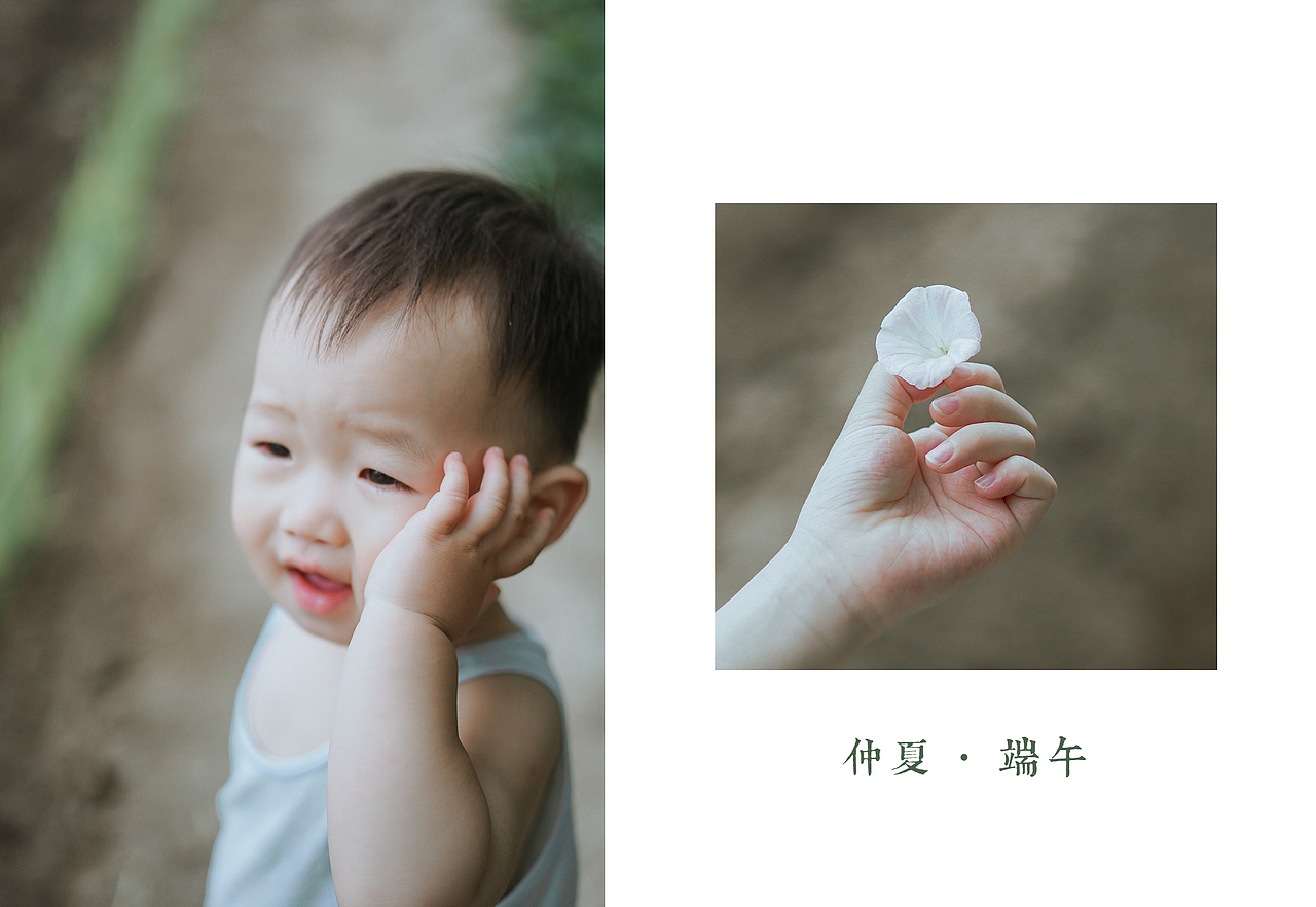 端午节到了,去看看奶奶的菜园子里长出了什么?