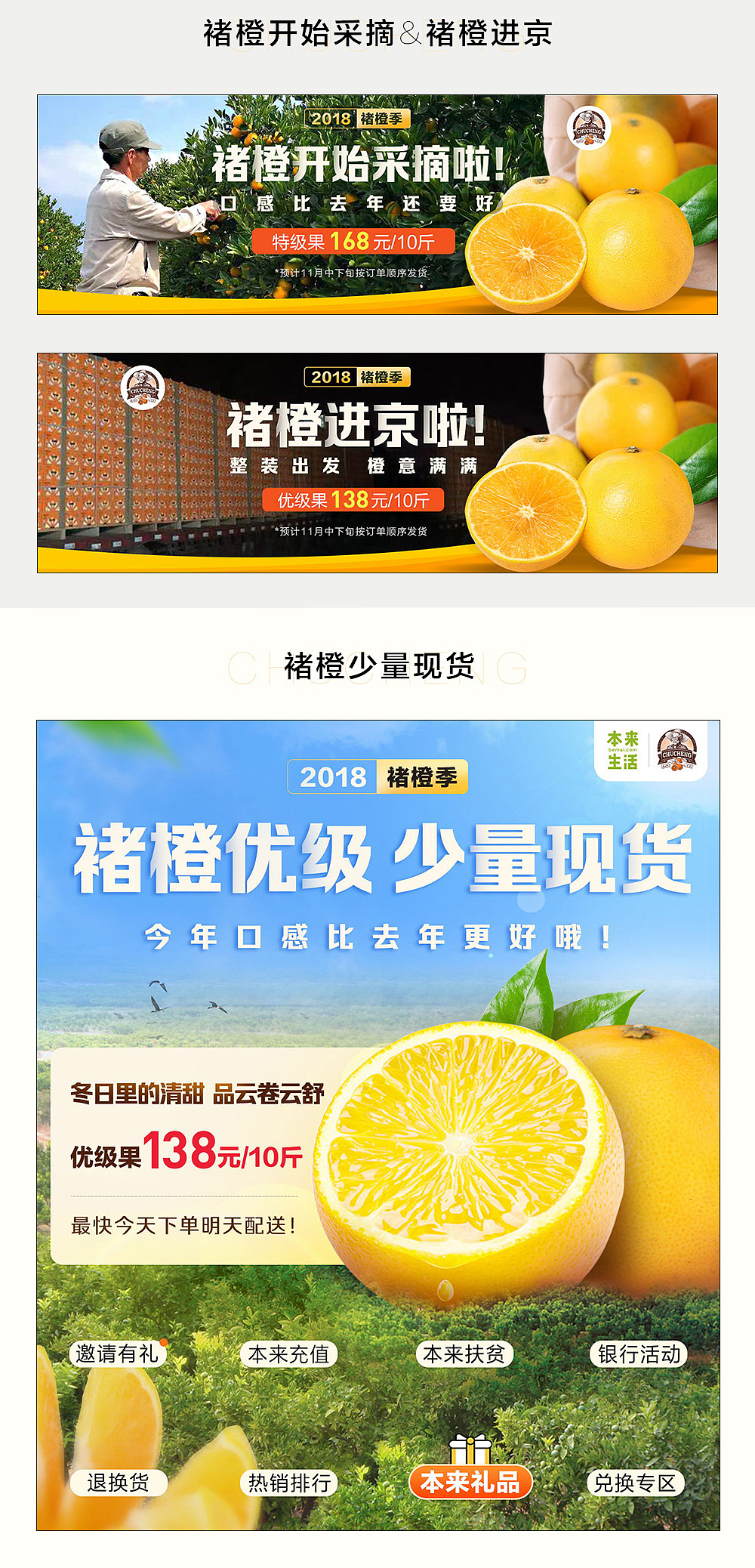 本来生活x褚橙 年度视觉回顾(2018)