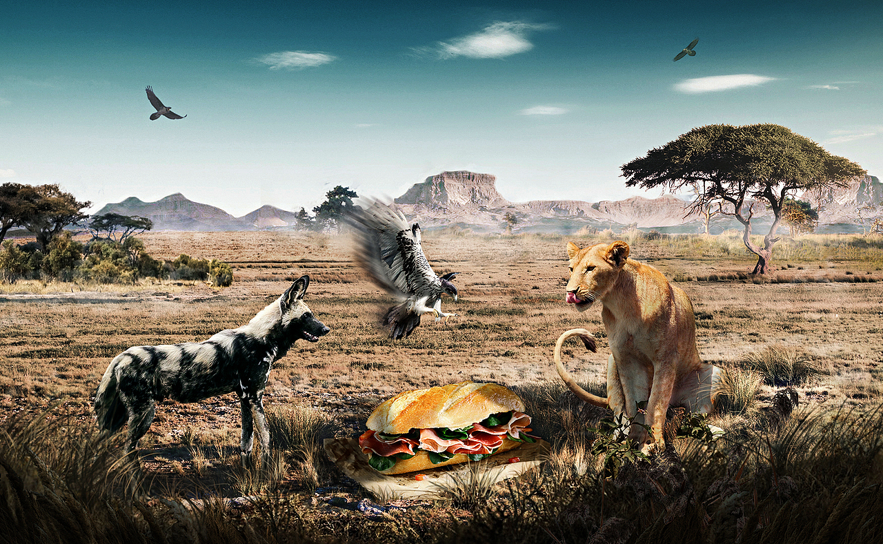 一波学员海报设计