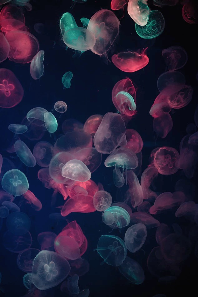 levana907的个人主页（背景预览） - 主页背景设置 - 站酷设计师levana907原创素材 - 站酷ZCOOL