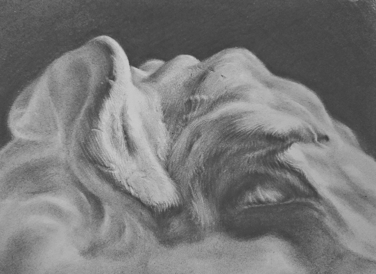 枪伤Ⅰ（图ZMTY1MzUyMDQw） - 绘画 - 站酷设计师车长原创素材 - 站酷ZCOOL