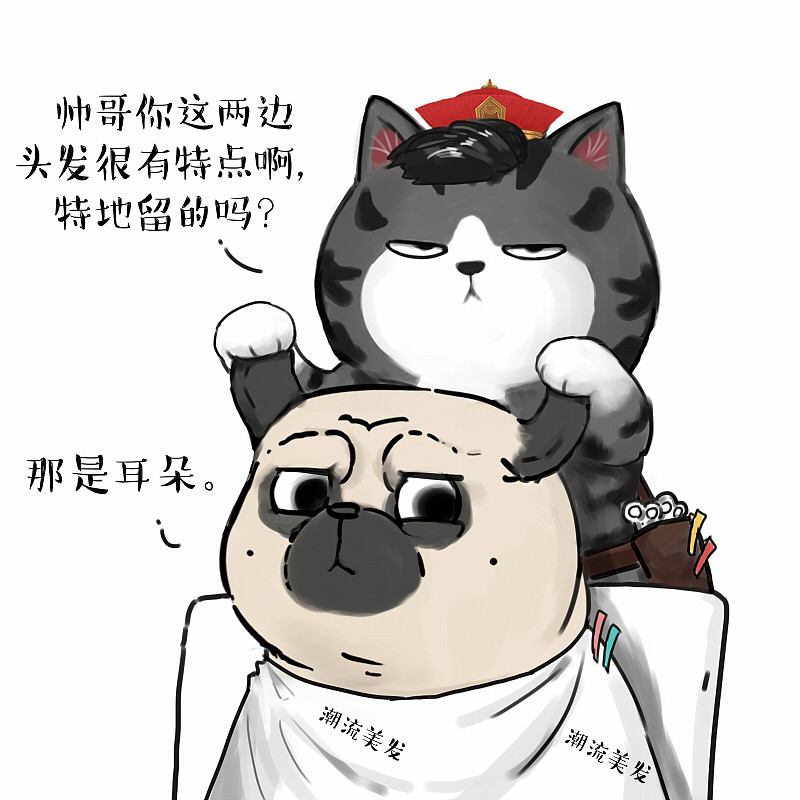 巴扎黑两岁那年，被托尼老师换了一个头……型（图ZMTgyNDI5MjY4） - 中/长篇漫画 - 站酷设计师吾皇的白茶原创素材 - 站酷ZCOOL