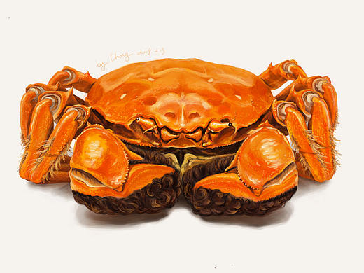 大闸蟹插画