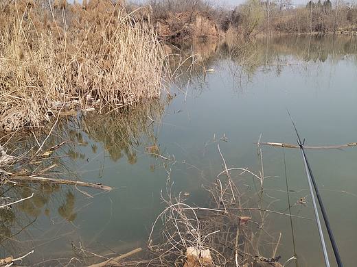 初春黄昏田野美景