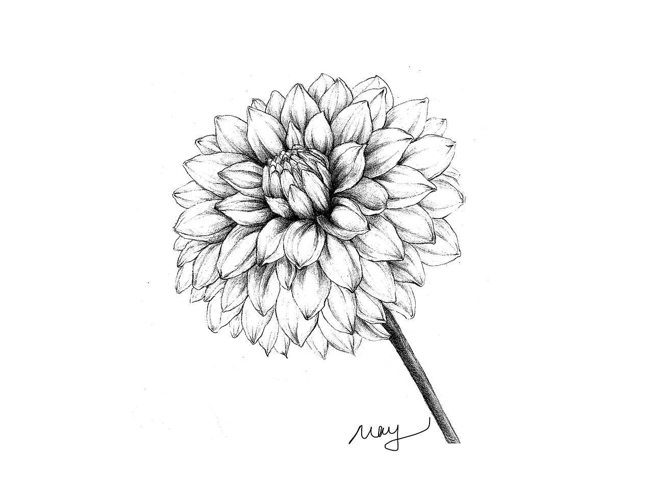 那些花儿（图ZMTQ0NjY3NDI4） - 创作习作 - 站酷设计师梅子梅子酱原创素材 - 站酷ZCOOL