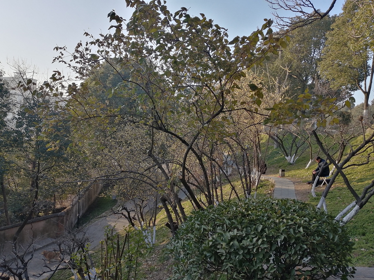 境源己造,相由心生