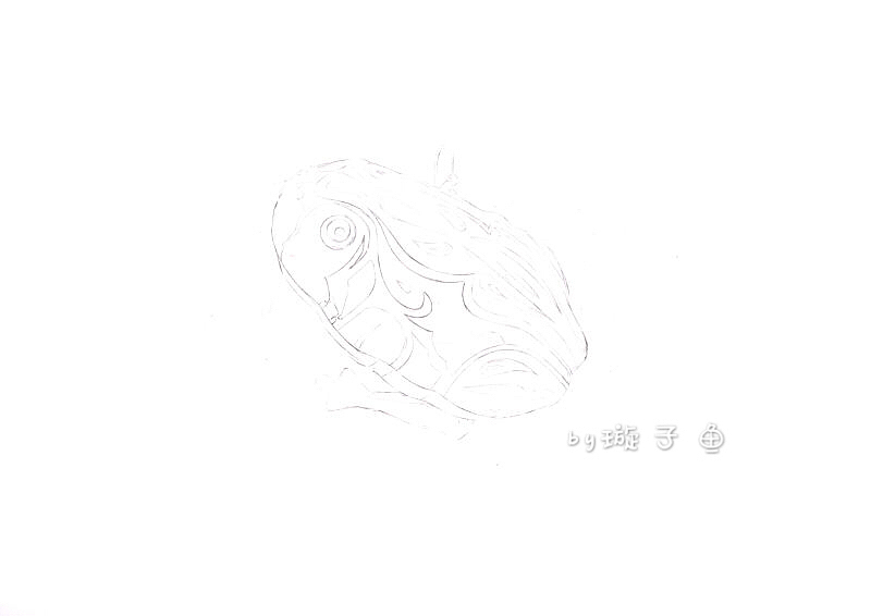 铁皮青蛙