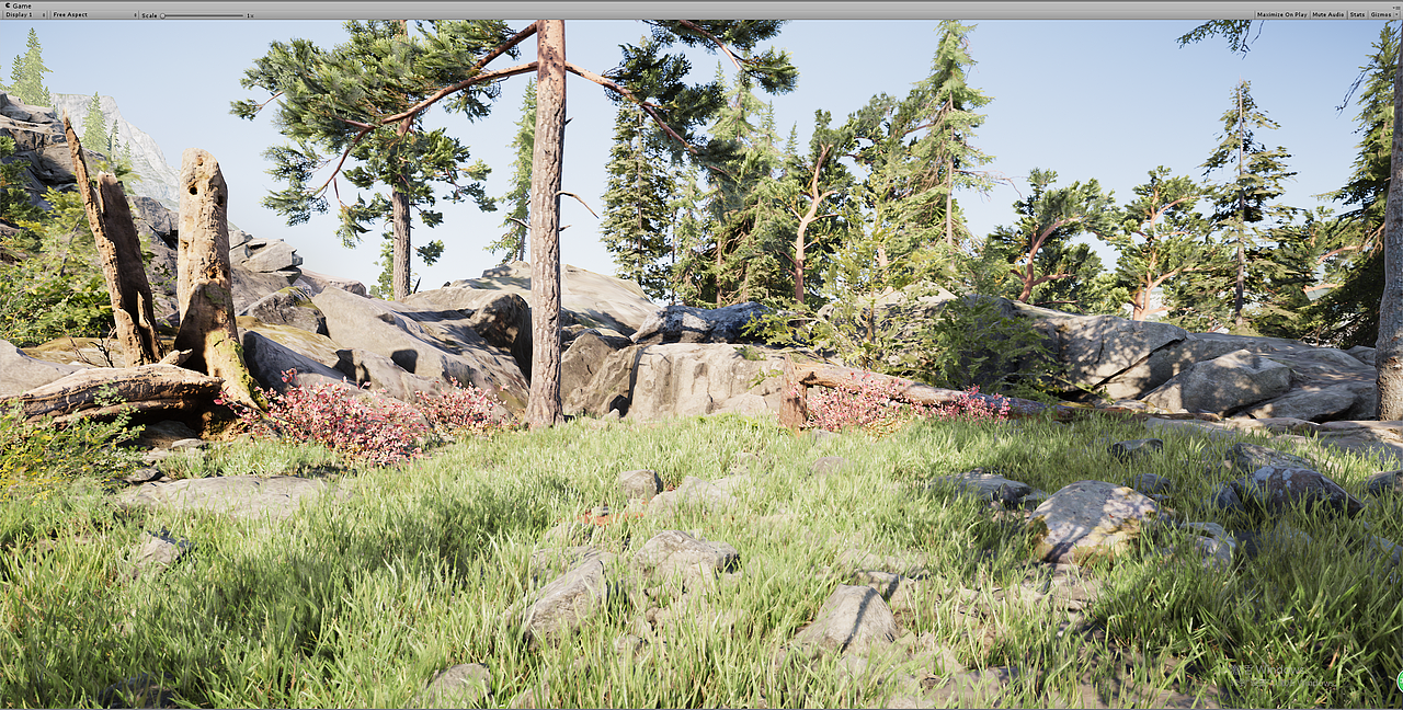 Unity_Environment