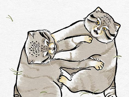 (未填坑的)兔狲组图