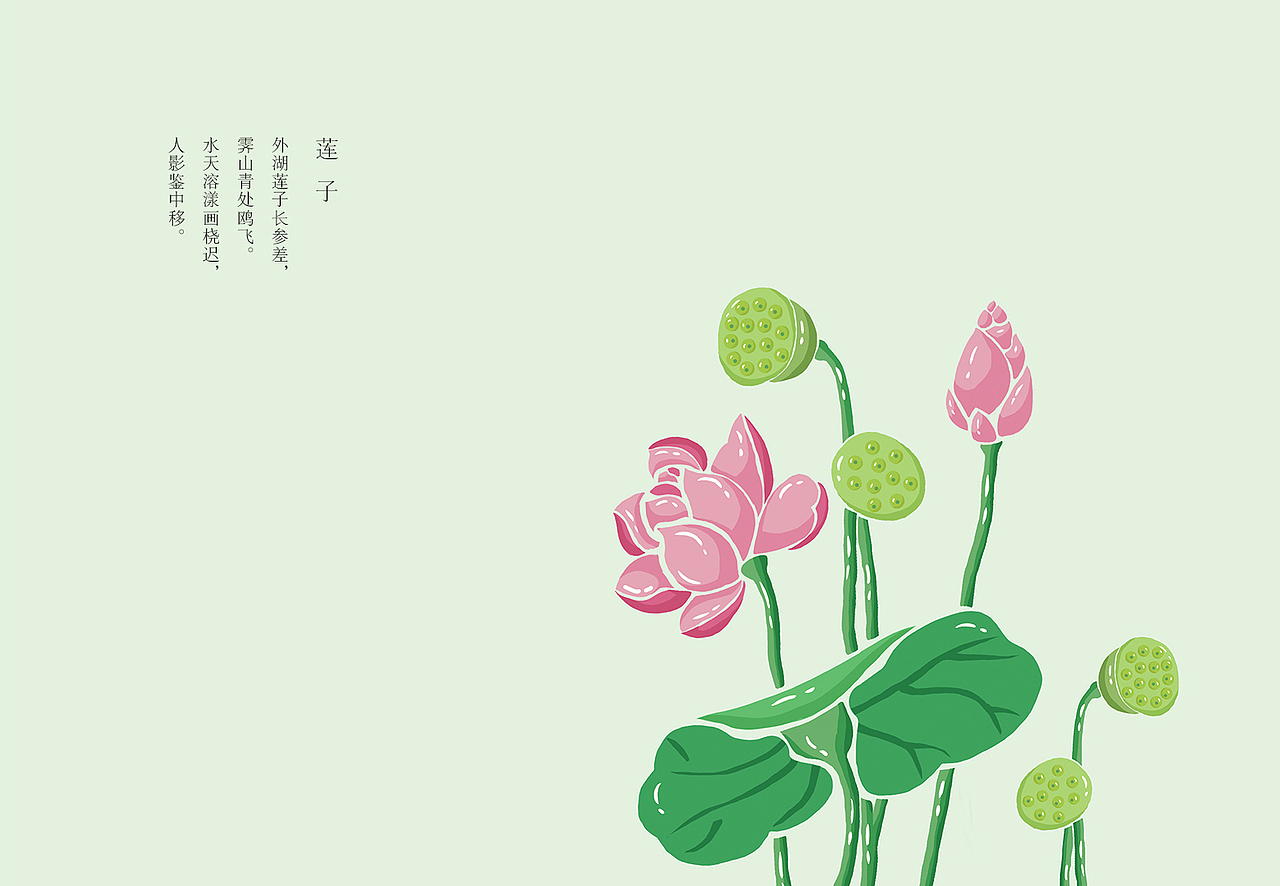 同仁堂花茶包装设计