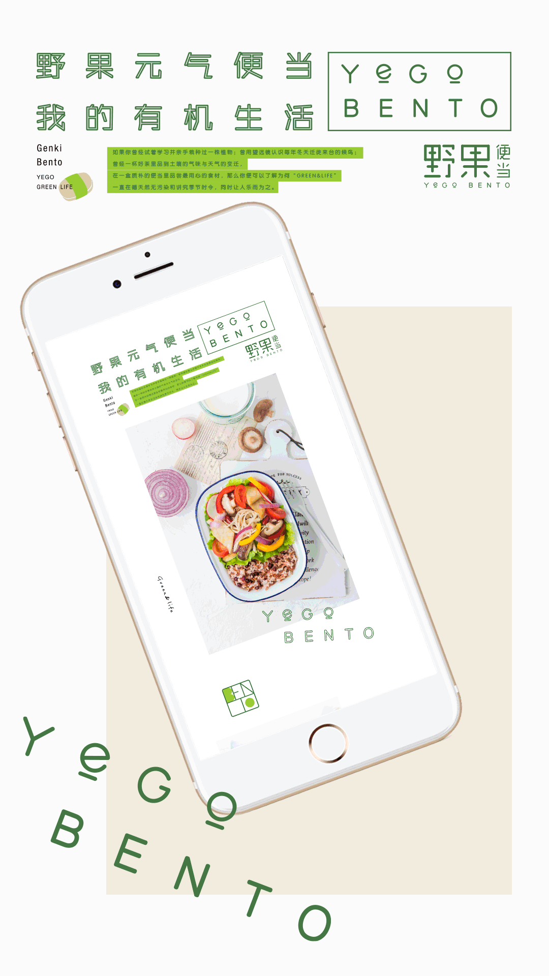 有食✖️野果便当-品牌包装设计及拍摄全案