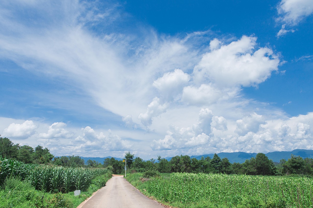 南溪村探寻记（图ZOTE1NDY1MTI=） - 短片 - 站酷设计师楦梓原创素材 - 站酷ZCOOL