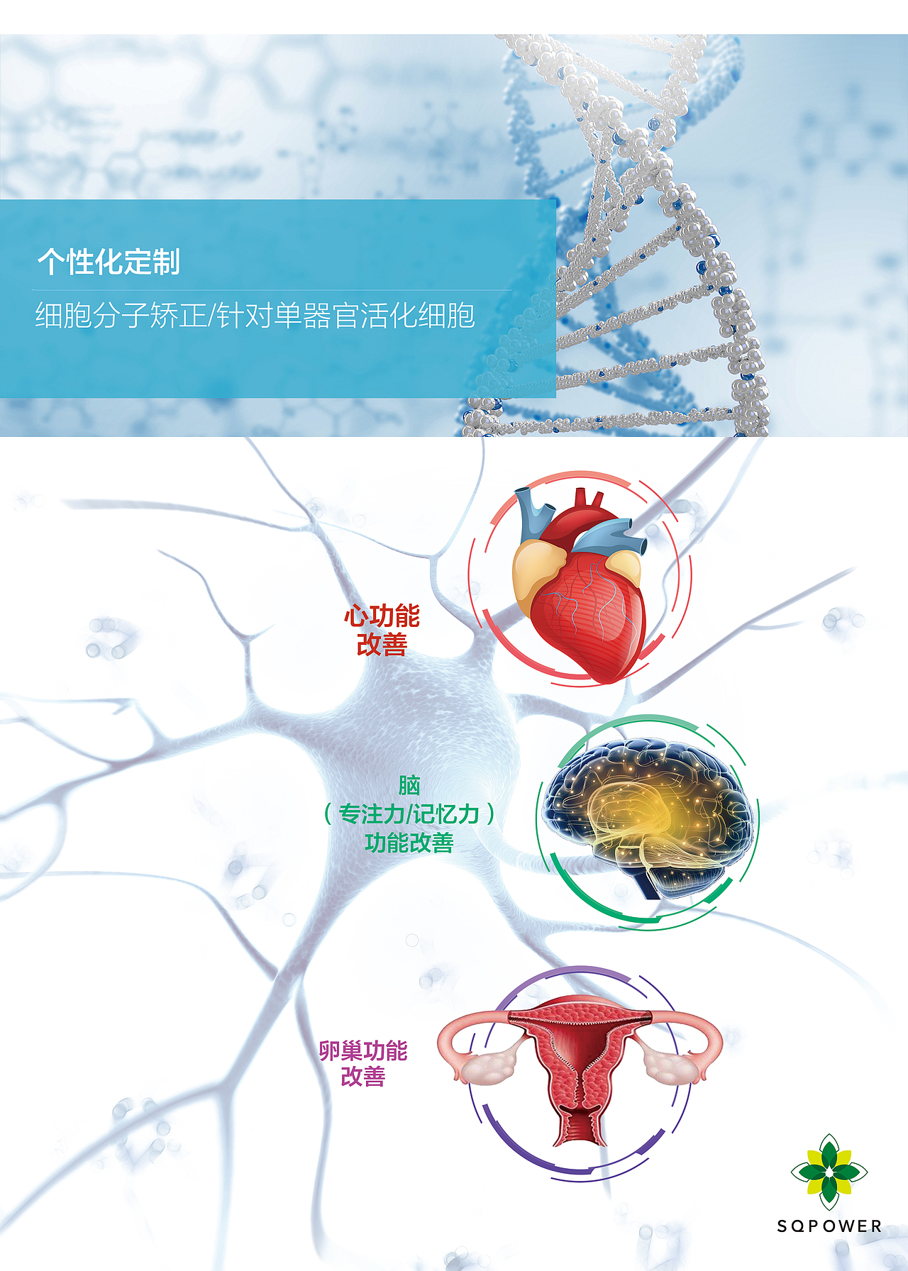 医疗机构折页（图ZMTEzODU2MDAw） - 书籍/画册 - 站酷设计师AYA大神原创素材 - 站酷ZCOOL