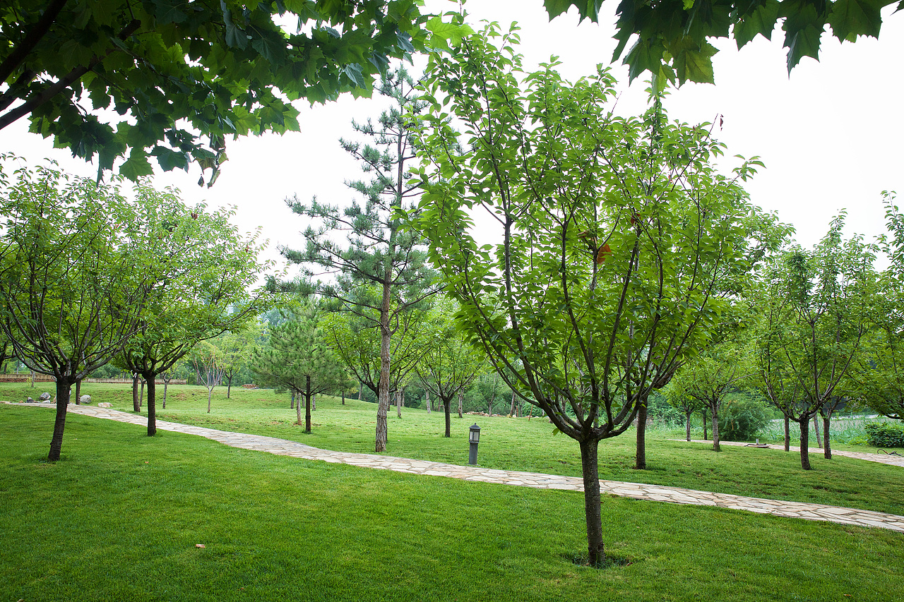 北京顺义静之湖