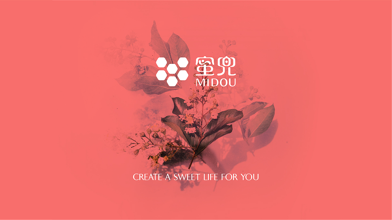 蜜兜 | 品牌设计