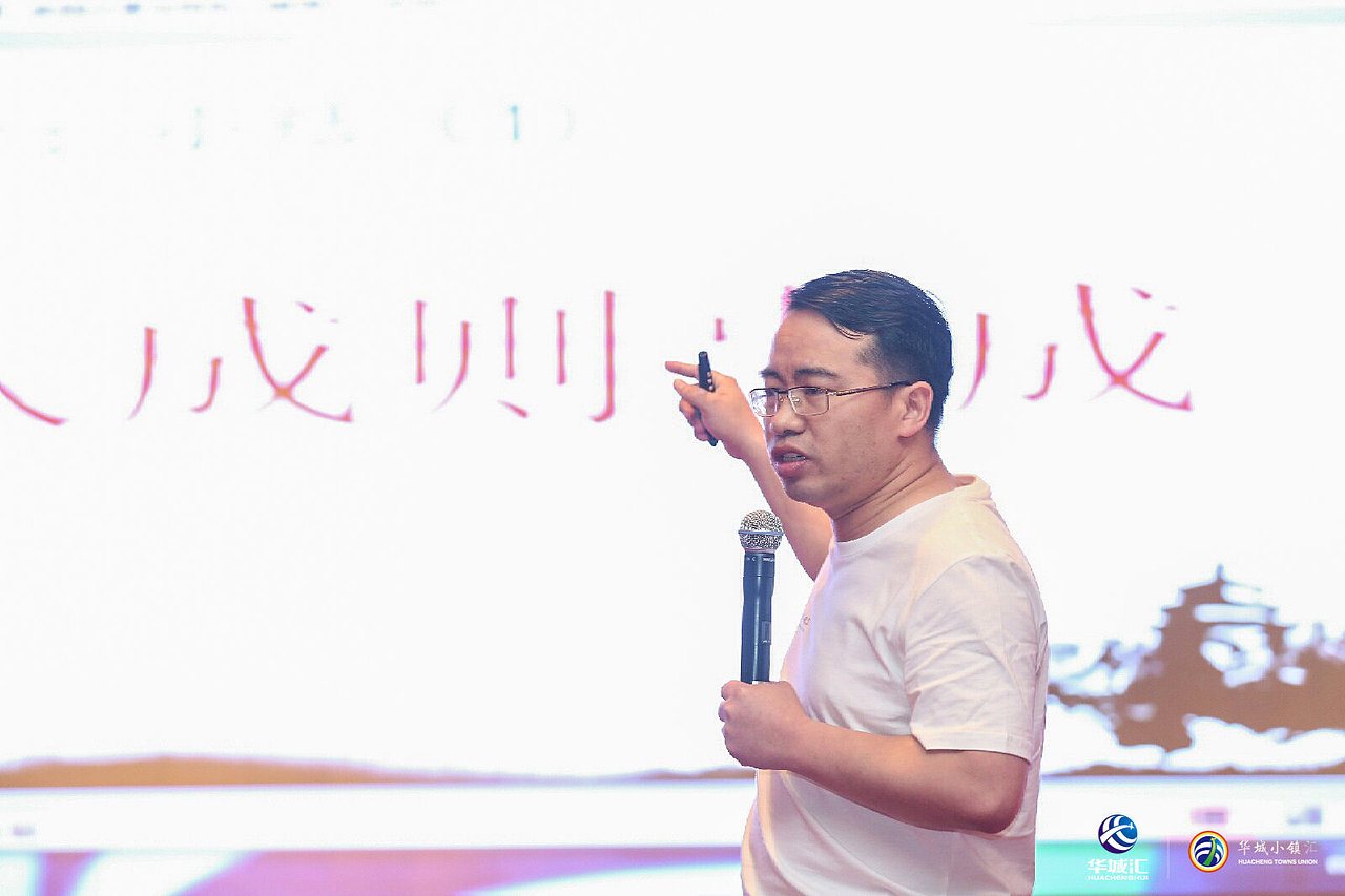 王金阳特色小镇峰会演讲图片