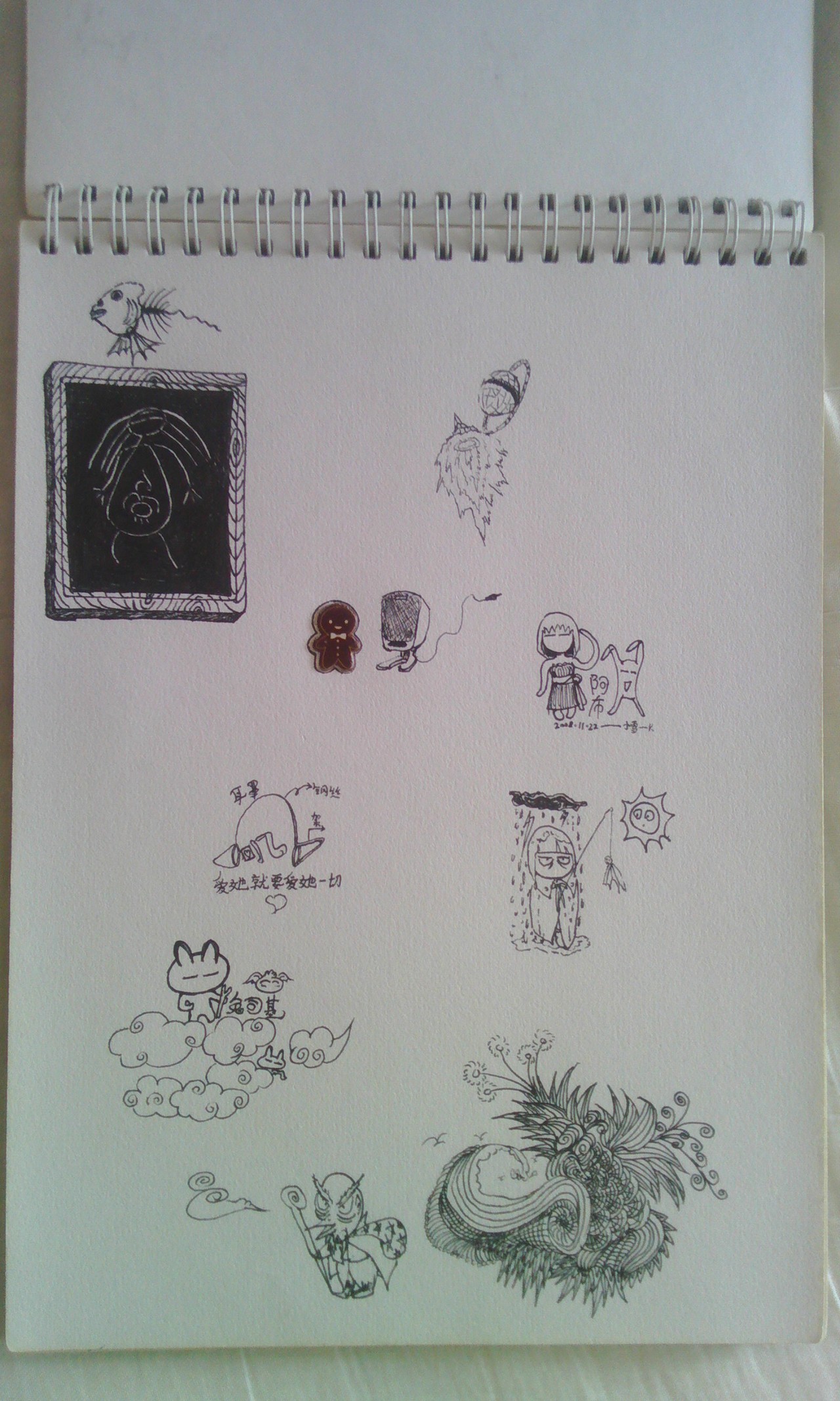 自己的04年—09年的本子,画满了快乐和悲伤~~~~~~