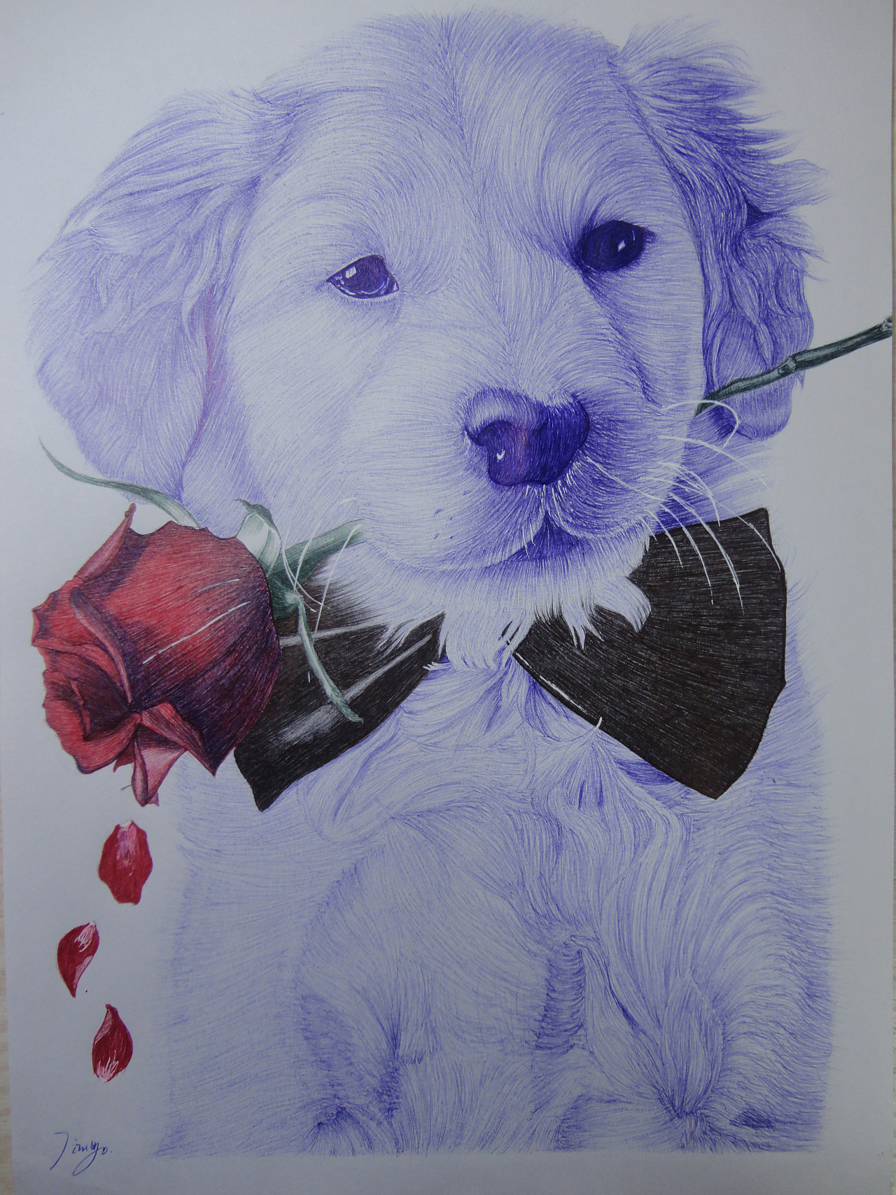 圆珠笔手绘 小狗