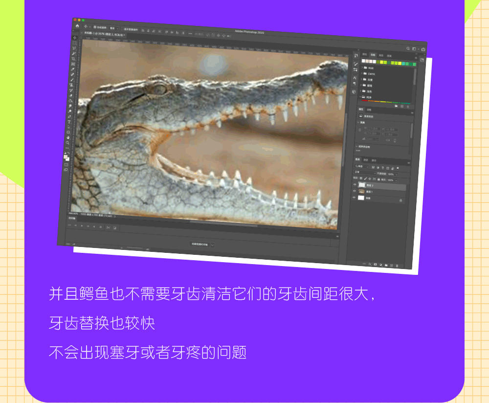 好奇心研究所推文（圖ZMjU2Njc5Nzky） - 其他平面 - 站酷設(shè)計(jì)師銘舍原創(chuàng)素材 - 站酷ZCOOL