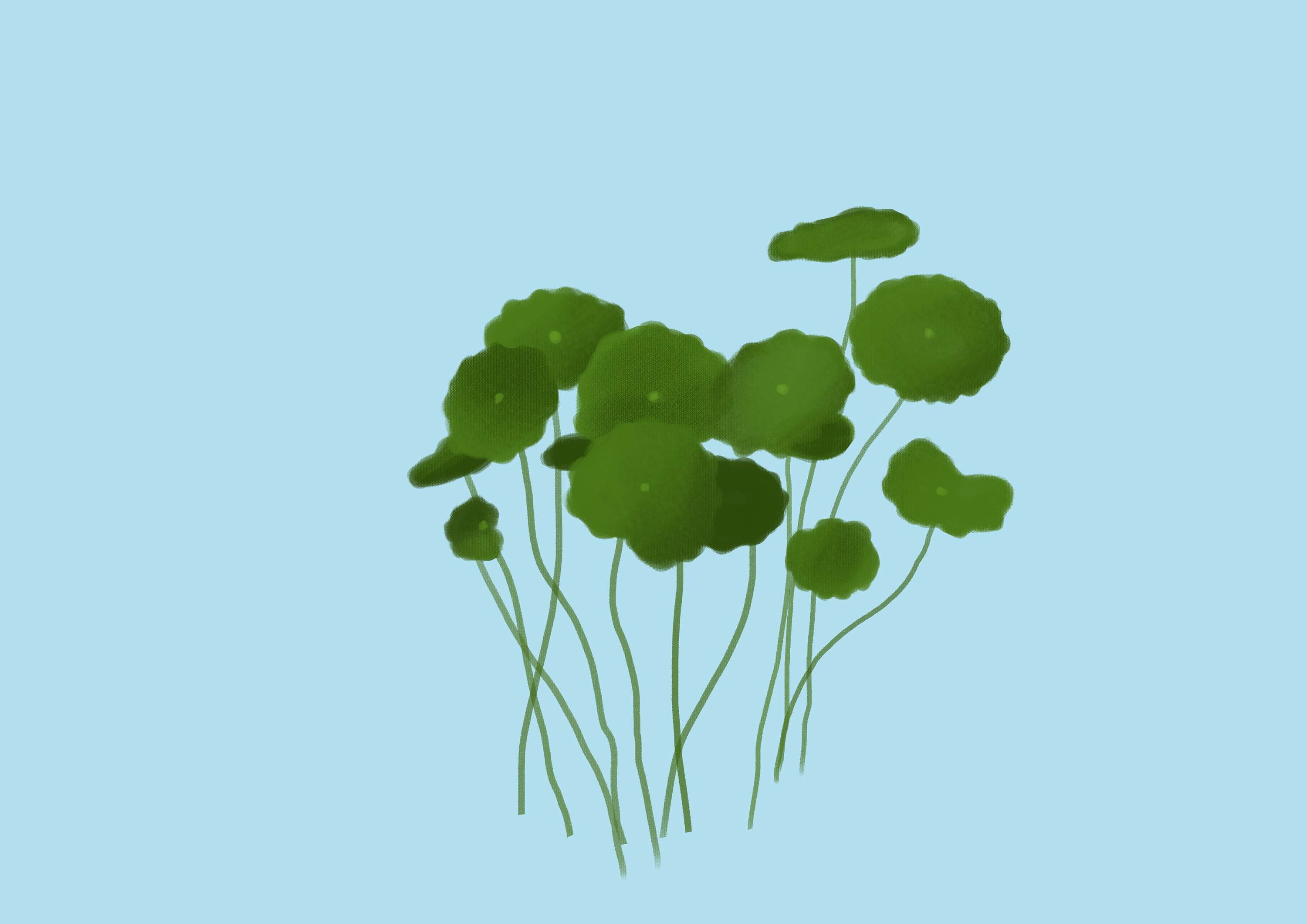 临摹| 一组植物插画