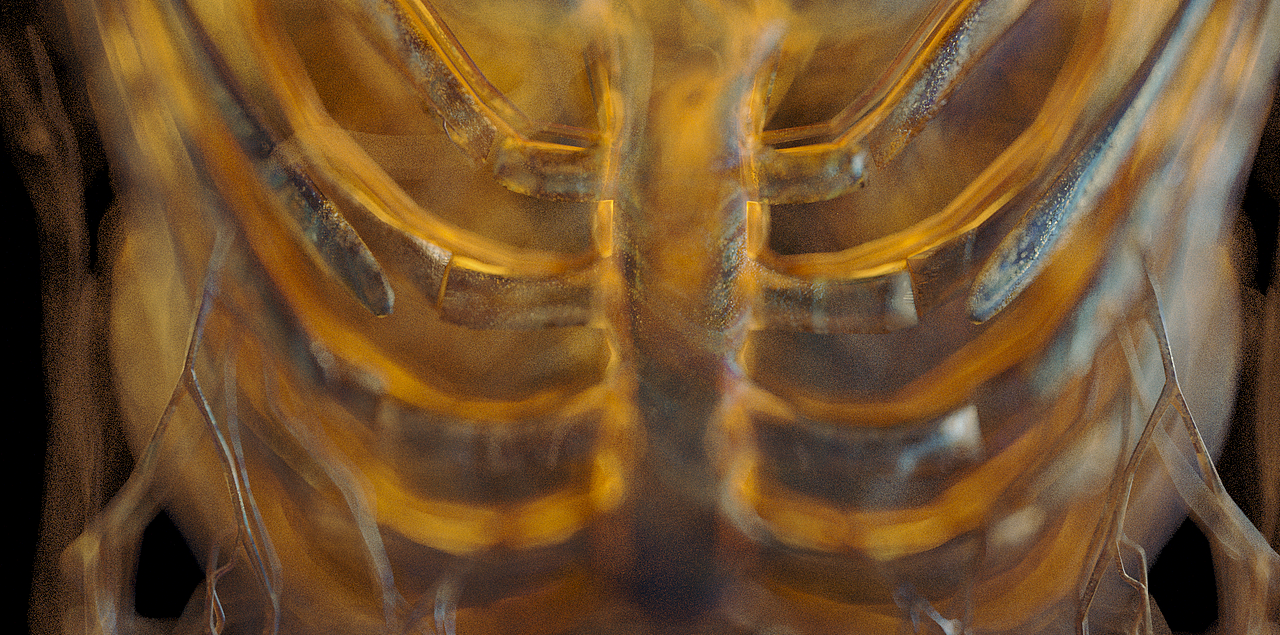 C4D射线海报尝试