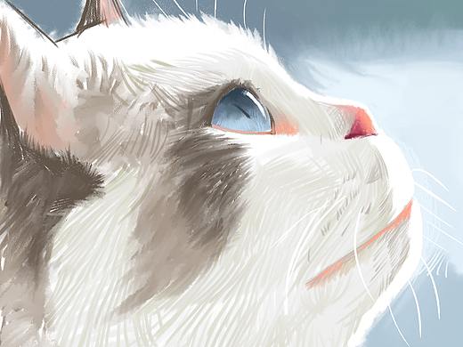 板绘习作---猫（个人主页-ZMzQ0MDI1OTI=） - 创作习作 - 站酷设计师阿吉233原创素材 - 站酷ZCOOL