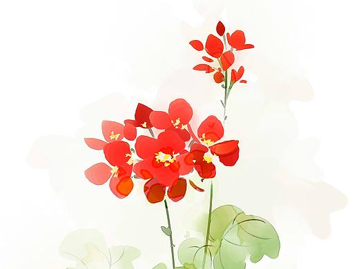 花卉