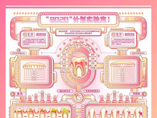 《8020计划实验室》