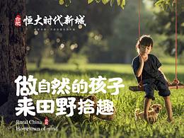 合肥恒大高科农业小镇提报