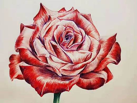 一花一世界,一生为一人