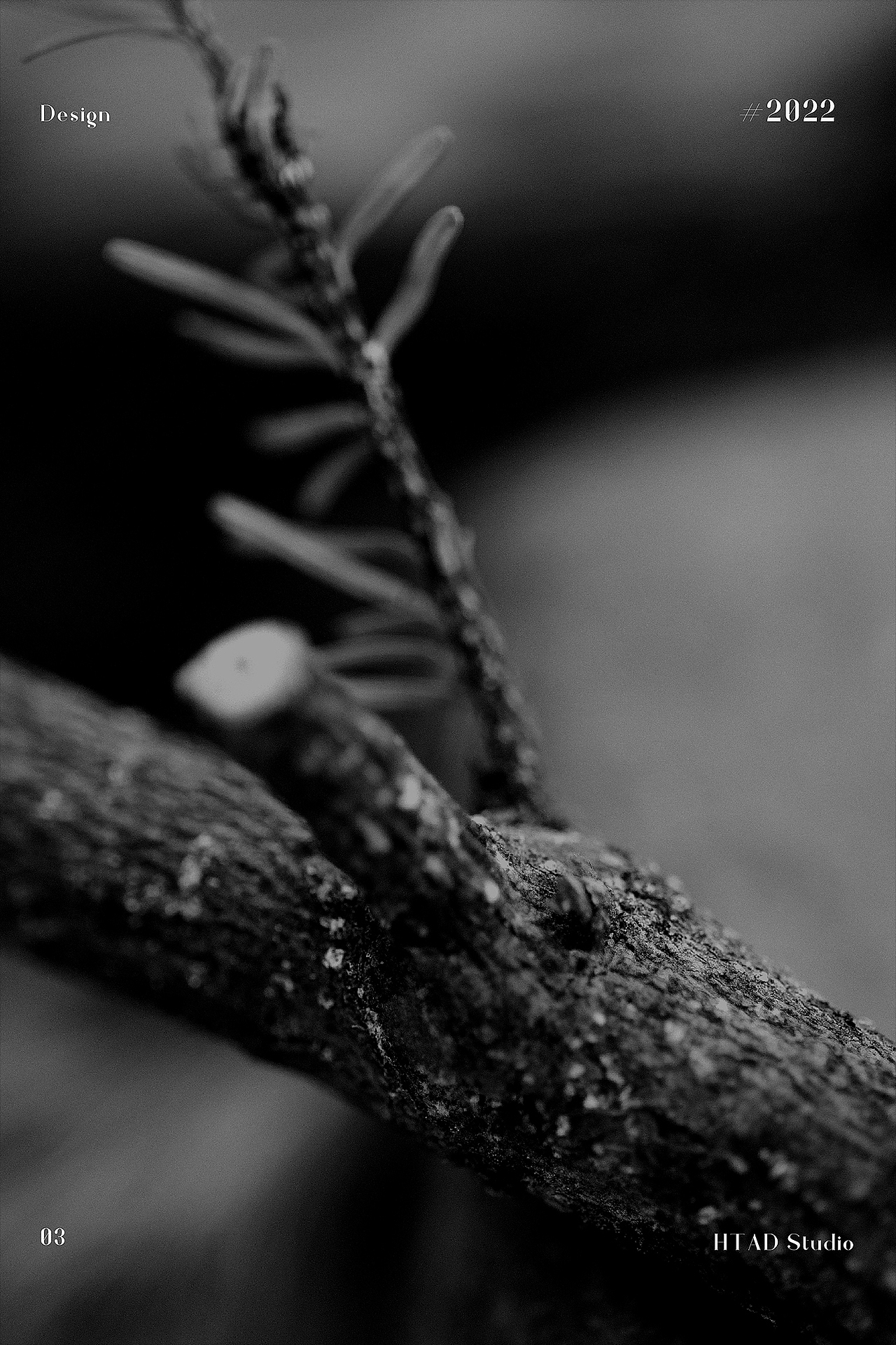 賦活面膜/MORUN（圖ZMjkxNTcyMDc2） - 產(chǎn)品攝影 - 站酷設(shè)計(jì)師一只叫阿德的海豚原創(chuàng)素材 - 站酷ZCOOL