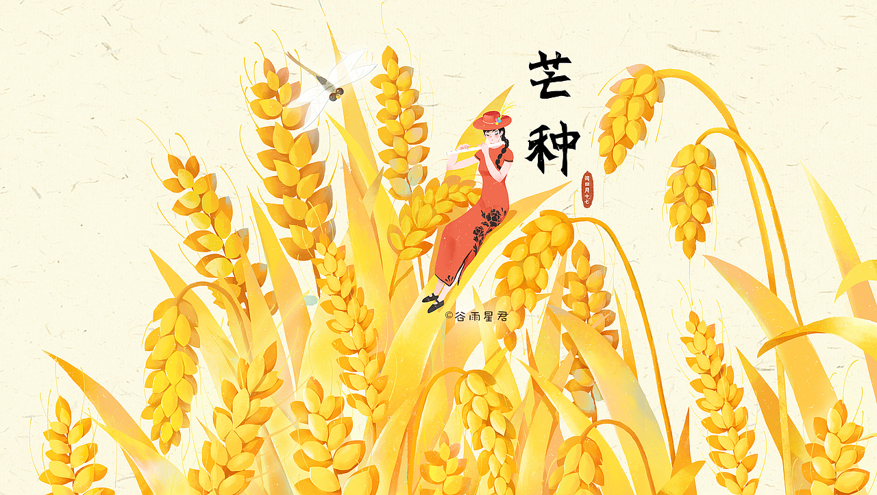 24节气插图—夏至秋部分插图