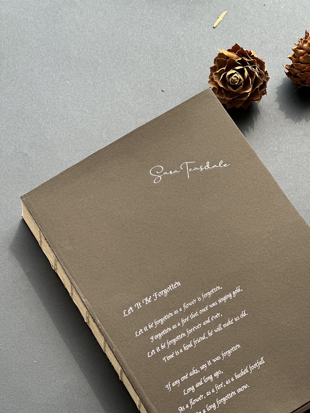 忘掉它像忘掉一朵花（图ZMzM5MzUyNDcy） - 书籍/画册 - 站酷设计师沈慢原创素材 - 站酷ZCOOL