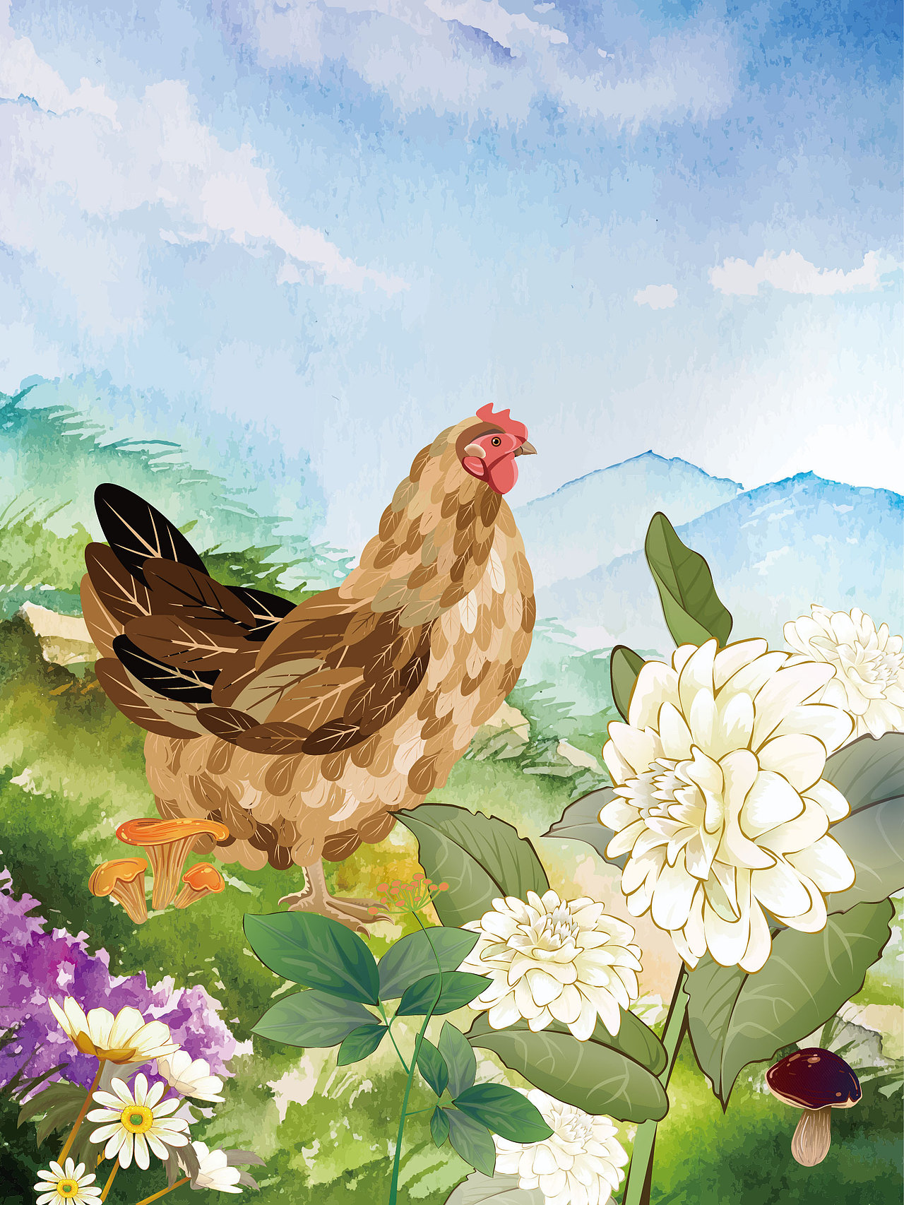 画只鸡|插画|创作习作|smailjerry_原创作品-站酷zcool