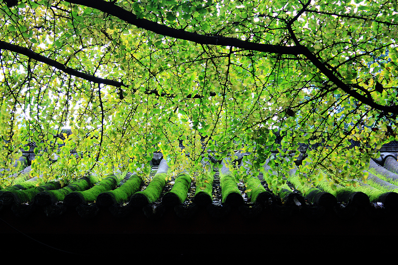 冬季九寨沟（图ZMzc4MDQxODQ=） - 风光摄影 - 站酷设计师一语过江原创素材 - 站酷ZCOOL