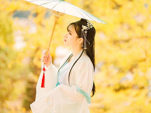 银杏树下