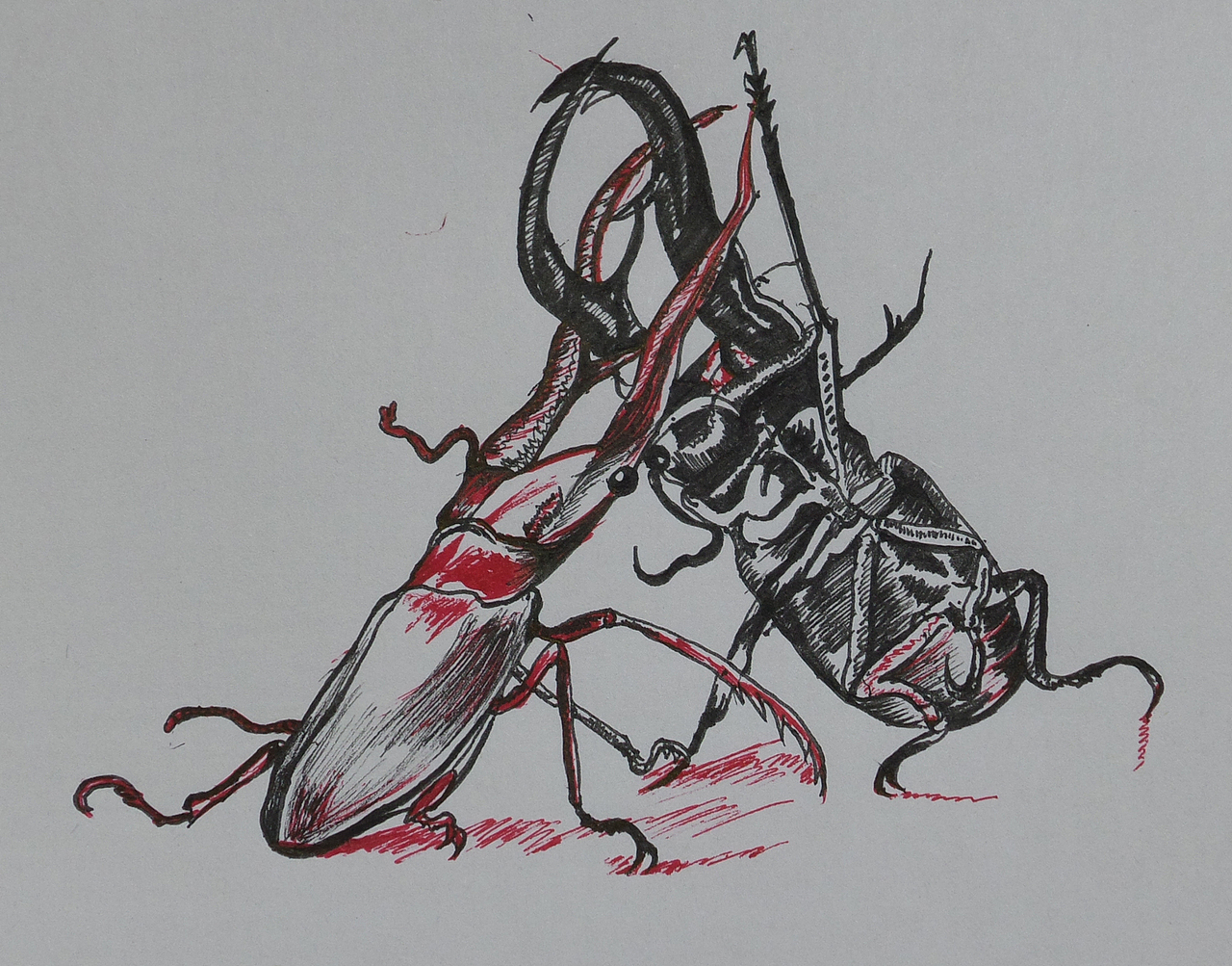 早前的一些练习