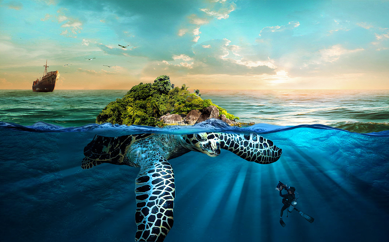 创意海龟岛合成