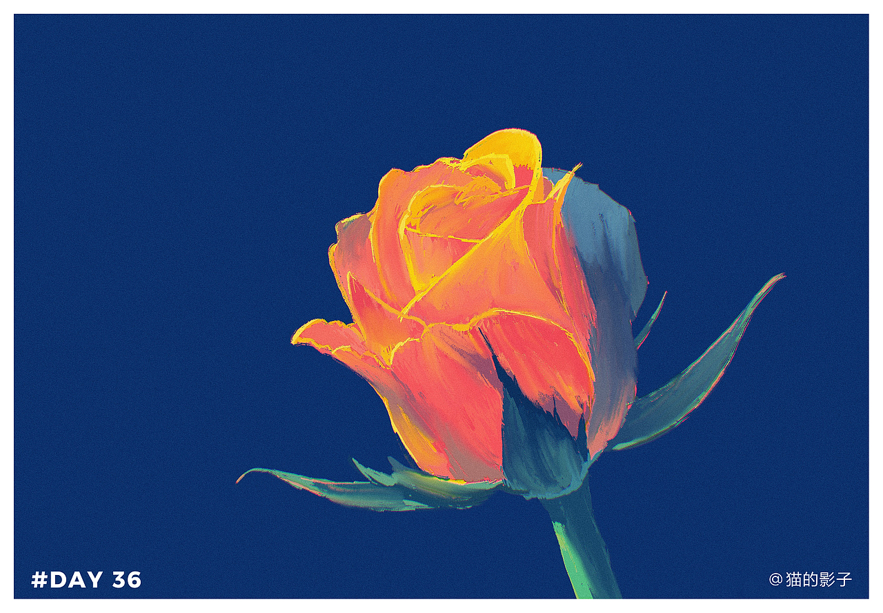 60天色彩速写打卡~（图ZMjc5MzYzNTI4） - 创作习作 - 站酷设计师猫的影子神经病原创素材 - 站酷ZCOOL