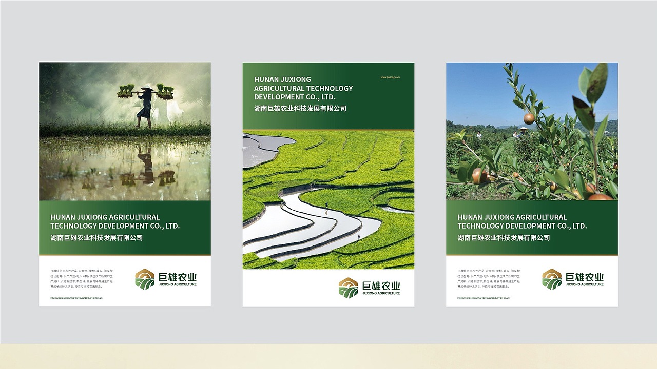 巨雄 品牌形象&产品包装升级（图ZMjY4NTM1NDI0） - 品牌 - 站酷设计师金针菇菇原创素材 - 站酷ZCOOL